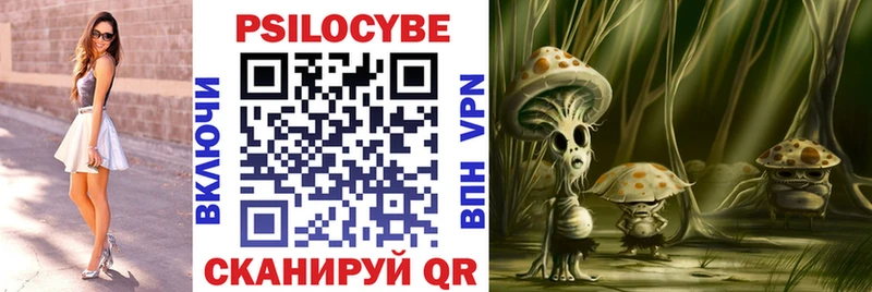 где купить наркотик  Макарьев  Псилоцибиновые грибы Psilocybe 